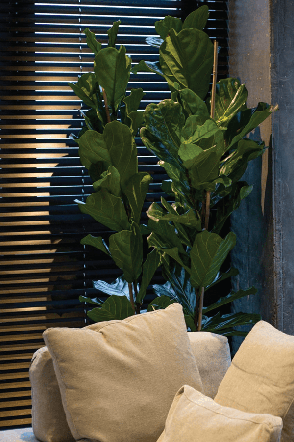 Cortinas Horizontales